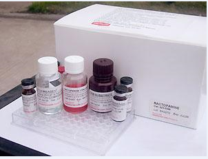 牛CD40配體(CD40L)ELISA檢測試劑盒主圖