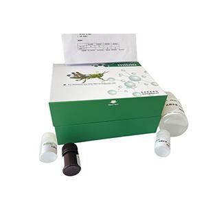 β-羥丁酸(β-HB)含量檢測試劑盒微量法(WST-1法)主圖