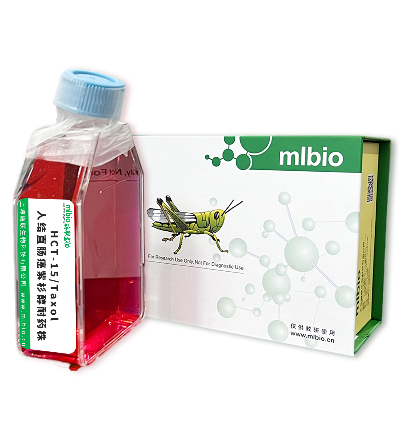 HCT-15/Taxol人結直腸癌紫杉醇耐藥株主圖