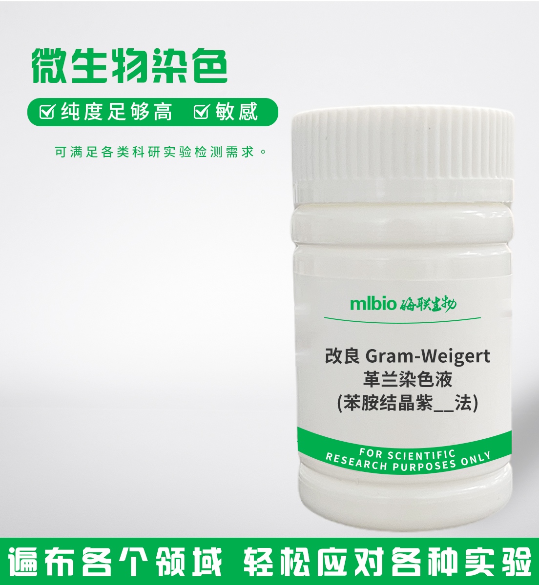 改良Gram-Weigert革蘭染色液(苯胺結(jié)晶紫法)主圖