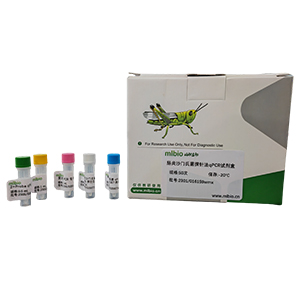 大頭菜花葉病毒探針法qRT-PCR試劑盒(不含內參)主圖