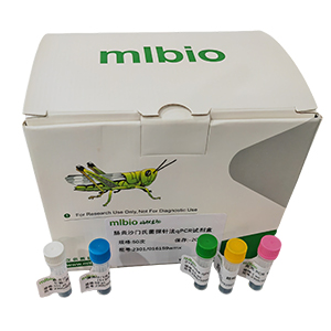 人腺病毒A亞屬探針法qPCR試劑盒(不含內(nèi)參)主圖