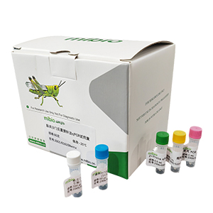 豬呼腸孤病毒探針?lè)╭RT-PCR試劑盒(不含內(nèi)參)主圖