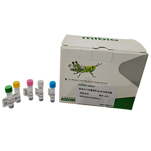 停乳鏈球菌似馬亞種探針法qPCR試劑盒(不含內參)主圖
