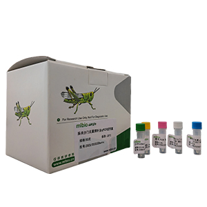 人腺病毒B50型探針法qPCR試劑盒(不含內參)主圖