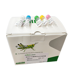 GMO外源gfp基因探針法qPCR試劑盒(不含內參)主圖