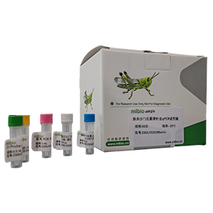解脲棒桿菌探針法qPCR試劑盒(不含內(nèi)參)主圖